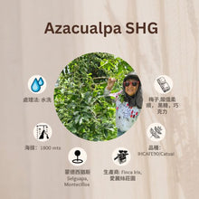 Load image into Gallery viewer, AZACUALPA SHG「愛麗絲莊園」宏都拉斯-Selguapa, Montecillos -2023 年- IHCAFE90/ Catuai 水洗