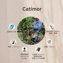 Load image into Gallery viewer, 13% OFF。54-CATIMOR「愛麗絲莊園」宏都拉斯-Santiago Puringla -2023 年- Catimor 水洗