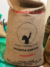 Load image into Gallery viewer, PEABERRY「愛麗絲莊園」宏都拉斯-Santiago Puringla -2023 年- Peaberry 圓豆 水洗
