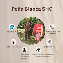 將圖片載入圖庫檢視器 PEÑA BLANCA SHG「愛麗絲莊園」宏都拉斯-Santiago Puringla -2023- IHCAFE90 水洗