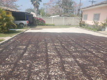 Load image into Gallery viewer, 65-Bourbon Natural「Finca El Beneficio 」Honduras-Santiago Puringla , La Paz -Year 2024 -