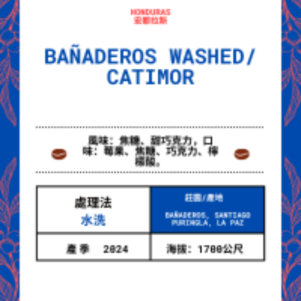 110-Bañaderos washed「Bañaderos」宏都拉斯-Bañaderos, Santiago Puringla, La Paz  -2024 年- Catimor 水洗 ----未稅價