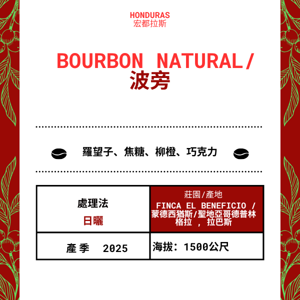 574-Bourbon Natural--- Finca El Beneficio /蒙德西猶斯/聖地亞哥德普林格拉 , 拉巴斯,宏都拉斯 2025 年