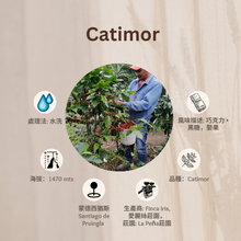 Load image into Gallery viewer, 13% OFF。54-CATIMOR「愛麗絲莊園」宏都拉斯-Santiago  Puringla -2023 年- Catimor 水洗
