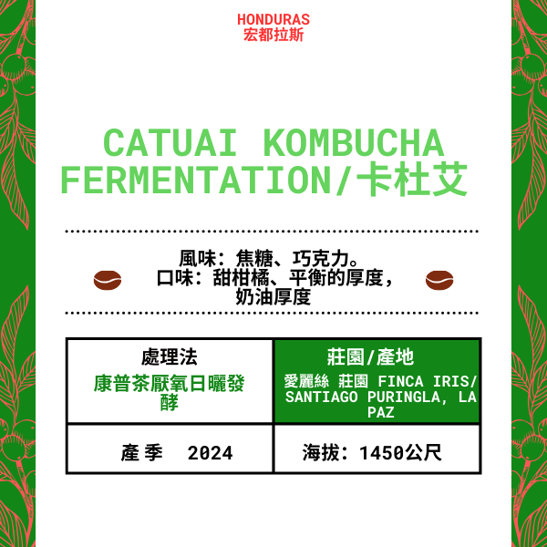 71-Catuai Kombucha Fermentation「Finca Iris 愛麗絲 莊園」宏都拉斯-Santiago Puringla , La Paz  -2024 年- 卡杜艾Catuai --康普茶厭氧日曬發酵---未稅價