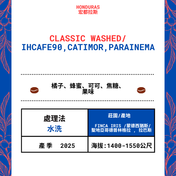 571-CLASSIC WASHED--- Finca Iris /蒙德西猶斯/聖地亞哥德プーリン格拉 , 拉巴斯,宏都拉斯 2025年