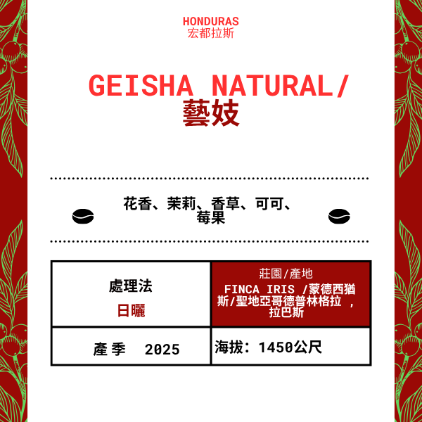 575-Geisha Natural--- Finca Iris /蒙德西猶斯/聖地亞哥德普林格拉 , 拉巴斯,宏都拉斯 2025 年
