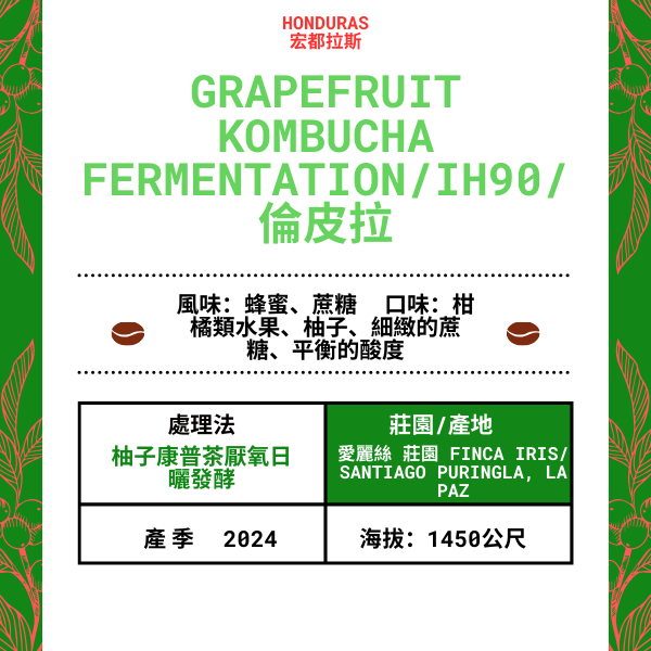 67-Grapefruit Kombucha Fermentation「Finca Iris 愛麗絲 莊園」宏都拉斯-Santiago Puringla , La Paz  -2024 年- IH90/倫皮拉 --柚子康普茶厭氧日曬發酵---未稅價