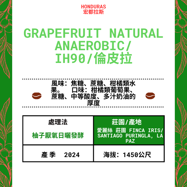 68-Grapefruit Natural Anaerobic「Finca Iris 愛麗絲 莊園」宏都拉斯-Santiago Puringla , La Paz  -2024 年- IH90/倫皮拉 --柚子厭氧日曬發酵---未稅價