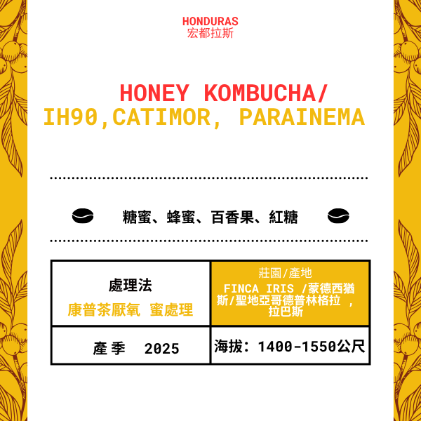 573-Honey Kombucha--- Finca Iris /蒙德西猶斯/聖地亞哥德普林格拉 , 拉巴斯,宏都拉斯 2025 年