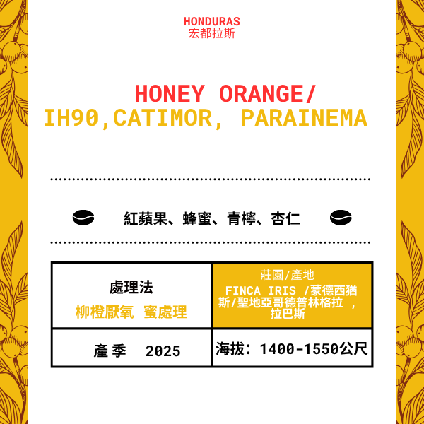 572-ハニーオレンジ--- フィンカ・アイリス /蒙德西猶斯/聖地亞哥德プーリン格拉 , 拉巴斯,宏都拉斯 2025年