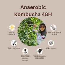 Load image into Gallery viewer, [售完]Kombucha Anaerobic Special Fermentation 48H厭氧發酵(康普茶)
