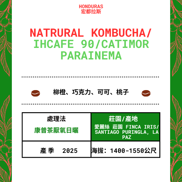 576-Natural Kombucha--- Finca Iris /蒙德西猶斯/聖地亞哥德普林格拉 , 拉巴斯,宏都拉斯 2025 年
