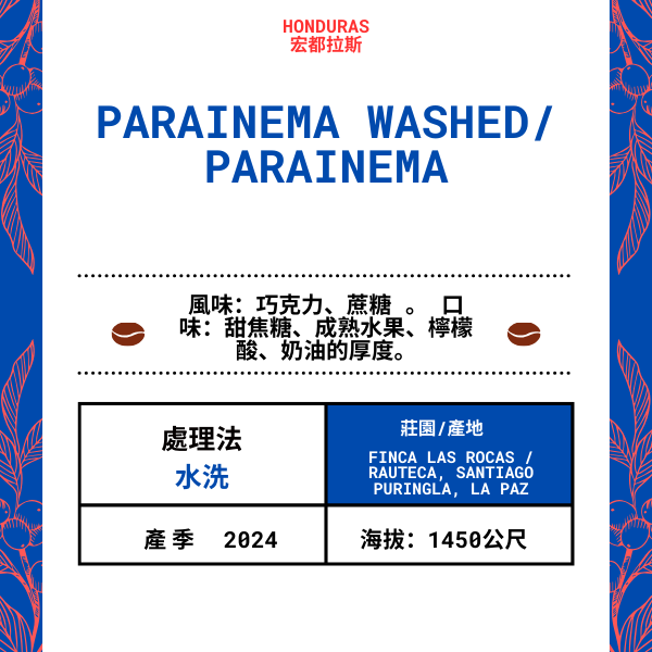 75-Parainema washed「Finca Las Rocas 莊園」宏都拉斯-Rauteca， Santiago  Purginla, La Paz  -2024 年- Parainema 水洗 ----未稅價