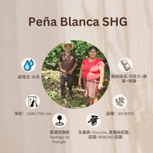 Load image into Gallery viewer, PEÑA BLANCA SHG「愛麗絲莊園」宏都拉斯-Santiago Puringla -2023 年- IHCAFE90 水洗
