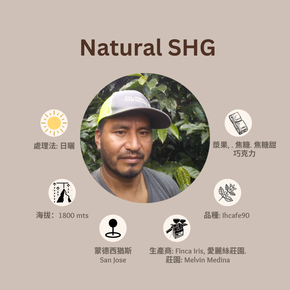 [售完] NATURAL SHG「愛麗絲莊園」宏都拉斯-Montecillos-2023 年- IHCAFE 90 日曬