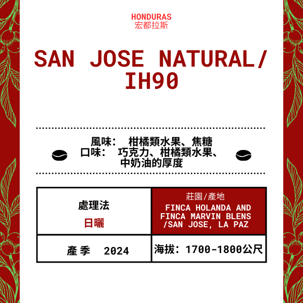 64-San Jose Natural「Finca Holanda and Finca Marvin 莊園」宏都拉斯-San Jose, La Paz  -2024 年- IH90 日曬 ----未稅價