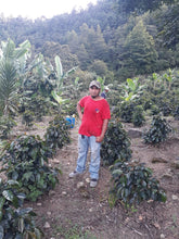 Load image into Gallery viewer, 64-San Jose Natural「Finca Holanda and Finca Marvin 莊園」宏都拉斯-San Jose, La Paz  -2024 年- IH90 日曬 ----未稅價
