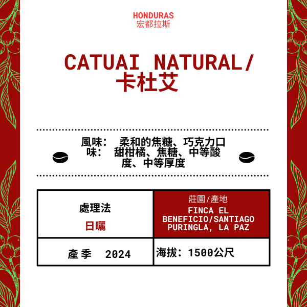 72-Catuai Natural「Finca EL Beneficio 莊園」宏都拉斯-La Laguna, Santiago Puringla, La Paz  -2024 年- 卡杜艾Catuai 日曬 ----未稅價